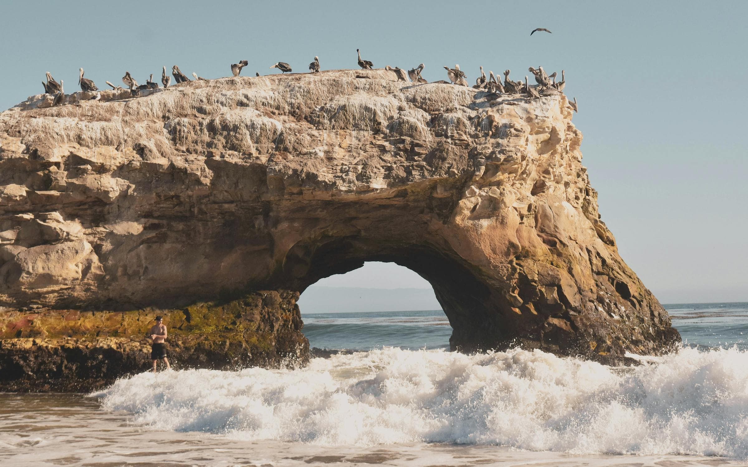Sandstone cliffs and sea cave at Panther Beach near Santa Cruz, California