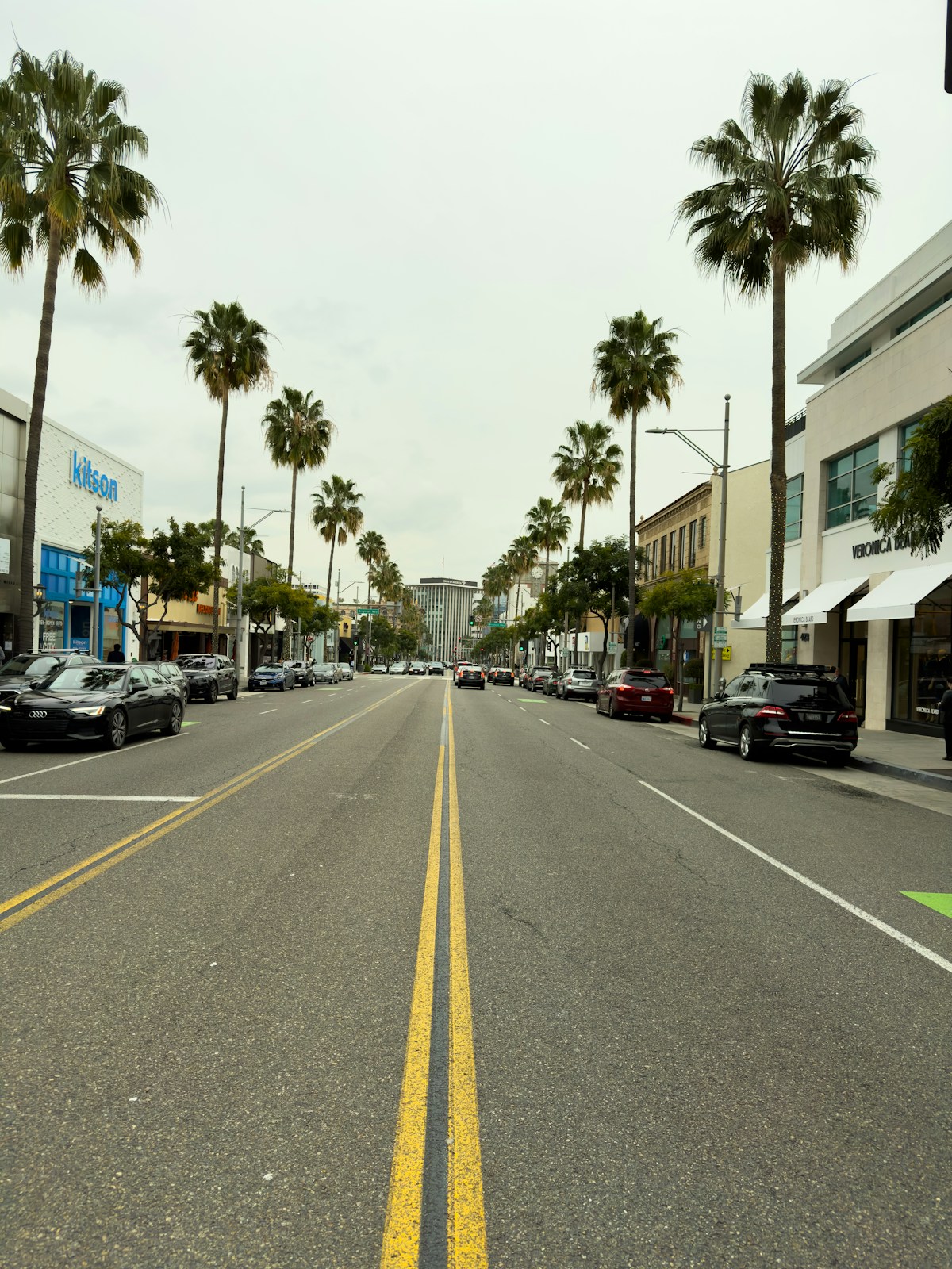 Abbot Kinney Boulevard lined with palm trees and shops